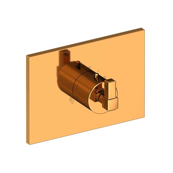 Newport Brass 3/4" Square Thermostatic Trim Plate With Handle in Polished Gold, Pvd 3-3144TS-24 - main